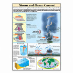 Storm and Ocean Current Chart